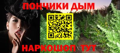 сатива Славгород