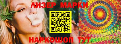 сатива Славгород