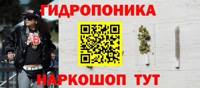 сатива Славгород