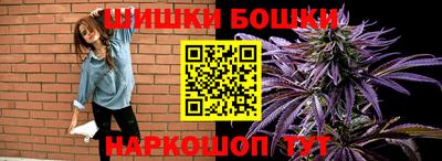сатива Славгород