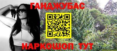 сатива Славгород