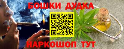 сатива Славгород