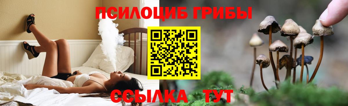 Псилоцибиновые грибы ЛСД  Псилоцибиновые грибы прущие грибы  Петропавловск-Камчатский  Вход с VPN 